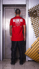 Camiseta longline 24